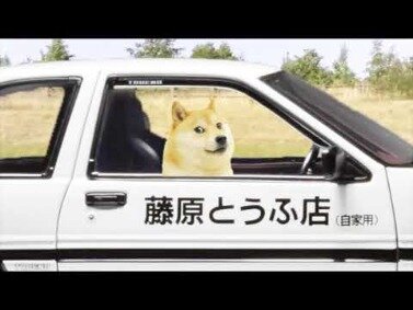 doge 2020